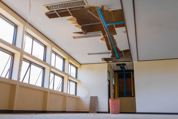 Water damage restoration experts in Torrance, CA