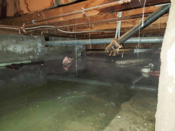 Best Sewage cleanup and water damage restoration  in Torrance, CA