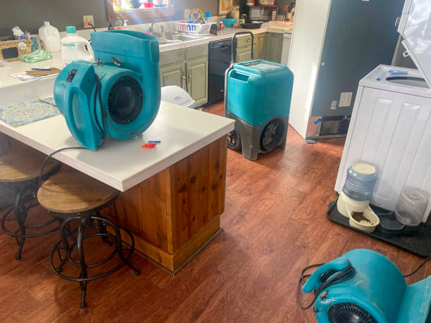 Best 24/7 water damage repair  in Torrance, CA