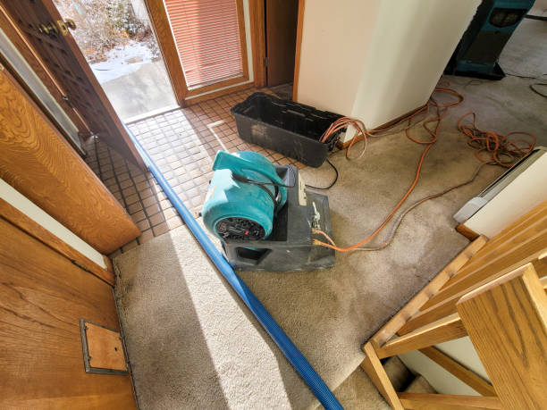 Water damage restoration mold remediation in Torrance, CA