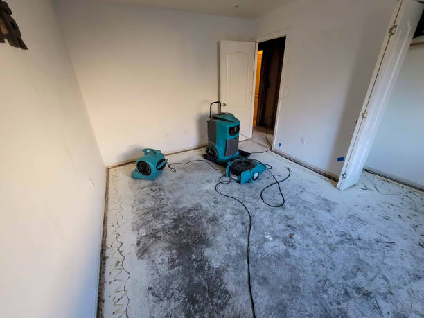 Best Flooded house restoration  in Torrance, CA