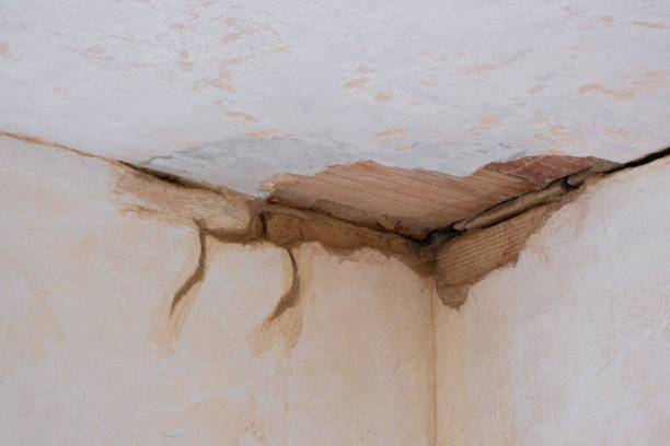 Best Residential water damage restoration  in Torrance, CA