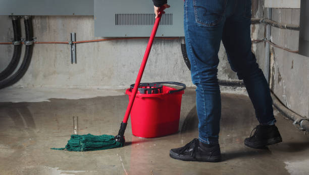 Best Water damage restoration experts  in Torrance, CA