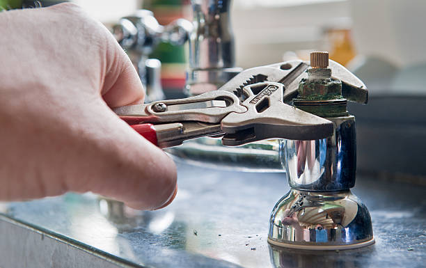 Best Mold removal after water damage  in Torrance, CA