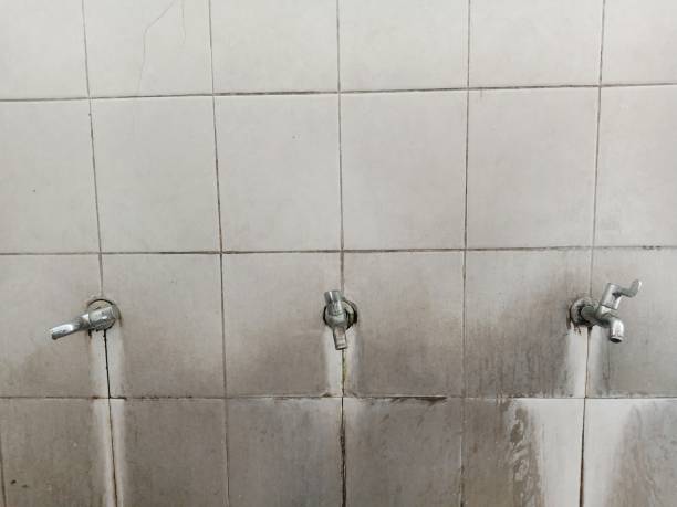 Reliable Torrance, CA Water damage restoration Solutions