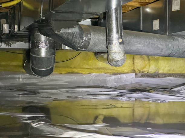  Torrance, CA Water damage restoration Pros
