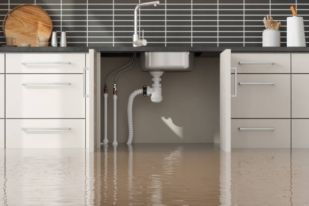 Torrance, CA Water damage restoration Company