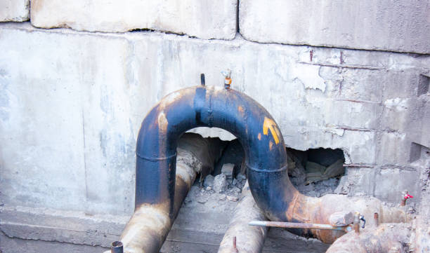 Best Water damage contractors near me  in Torrance, CA